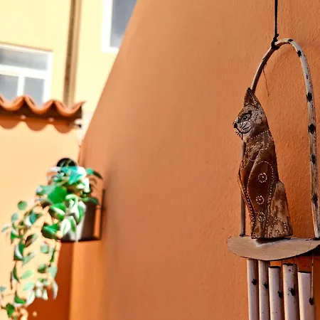 Casa Del Gato 칼레타데푸스테