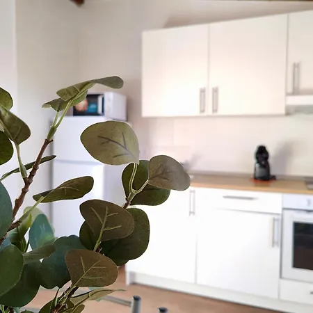 Casa Del Gato كاليتا ذي فوستي