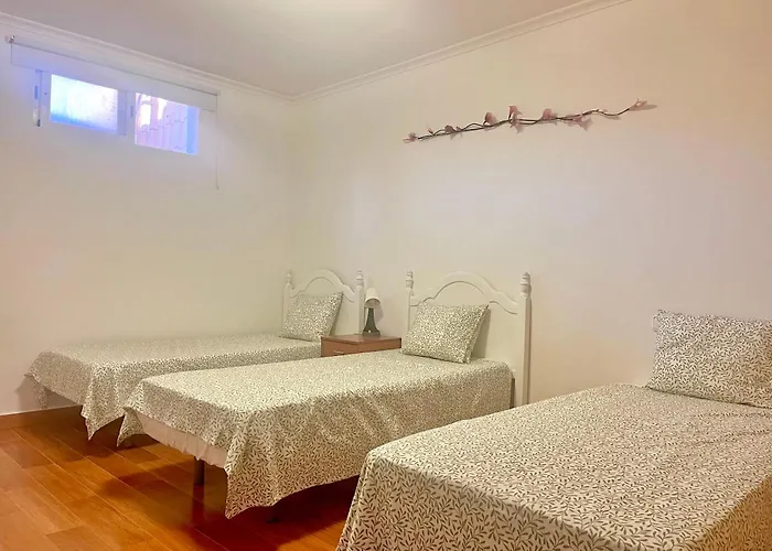 Casa Del Gato *
